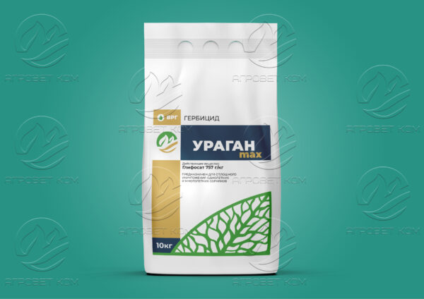 Ураган Макс