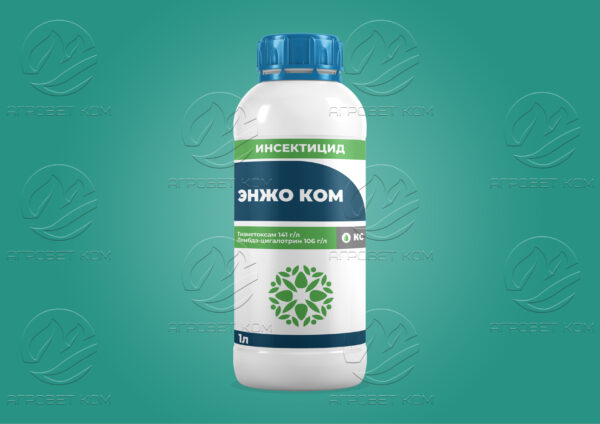 Энжо Ком